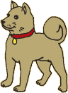 犬